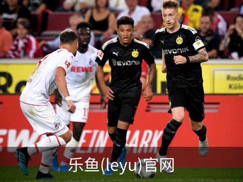 乐鱼(leyu)官网介绍